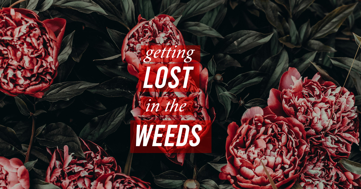 Getting Lost in the Weeds